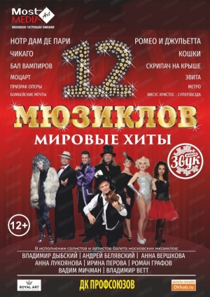 Афиша 12 Мюзиклов в Хабаровске в ДК Профсоюзов в 19.00, 14.02.2025 года